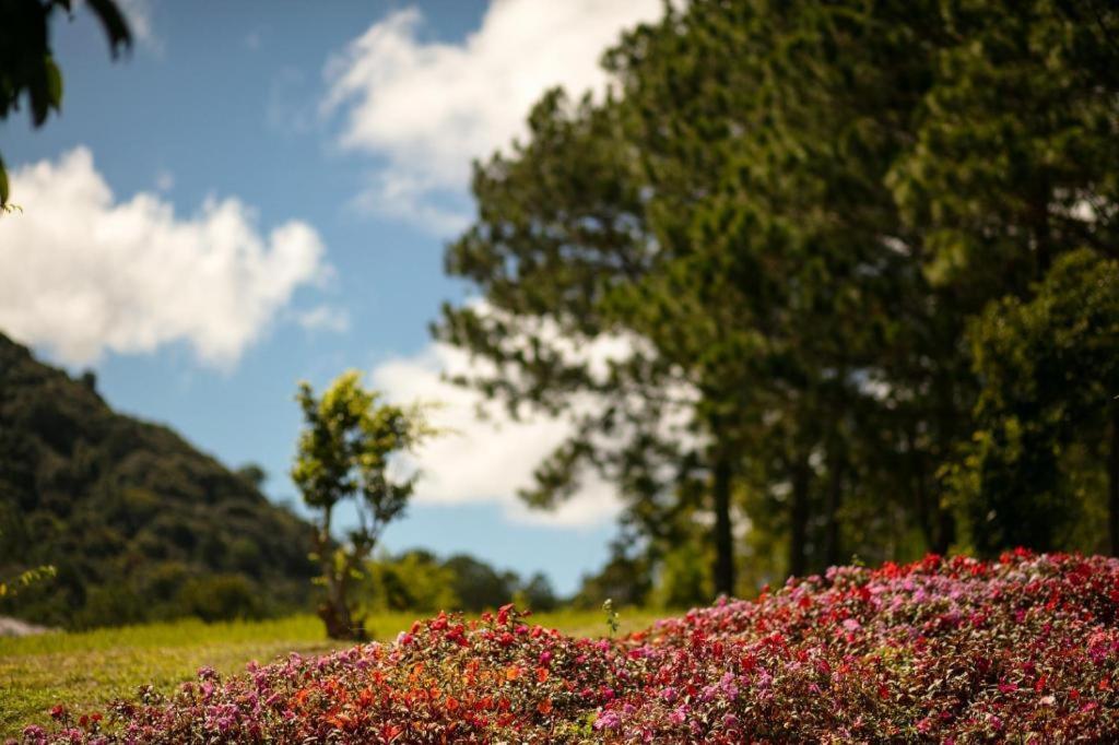 Sam Tuyen Lam Resort Dalat Bagian luar foto